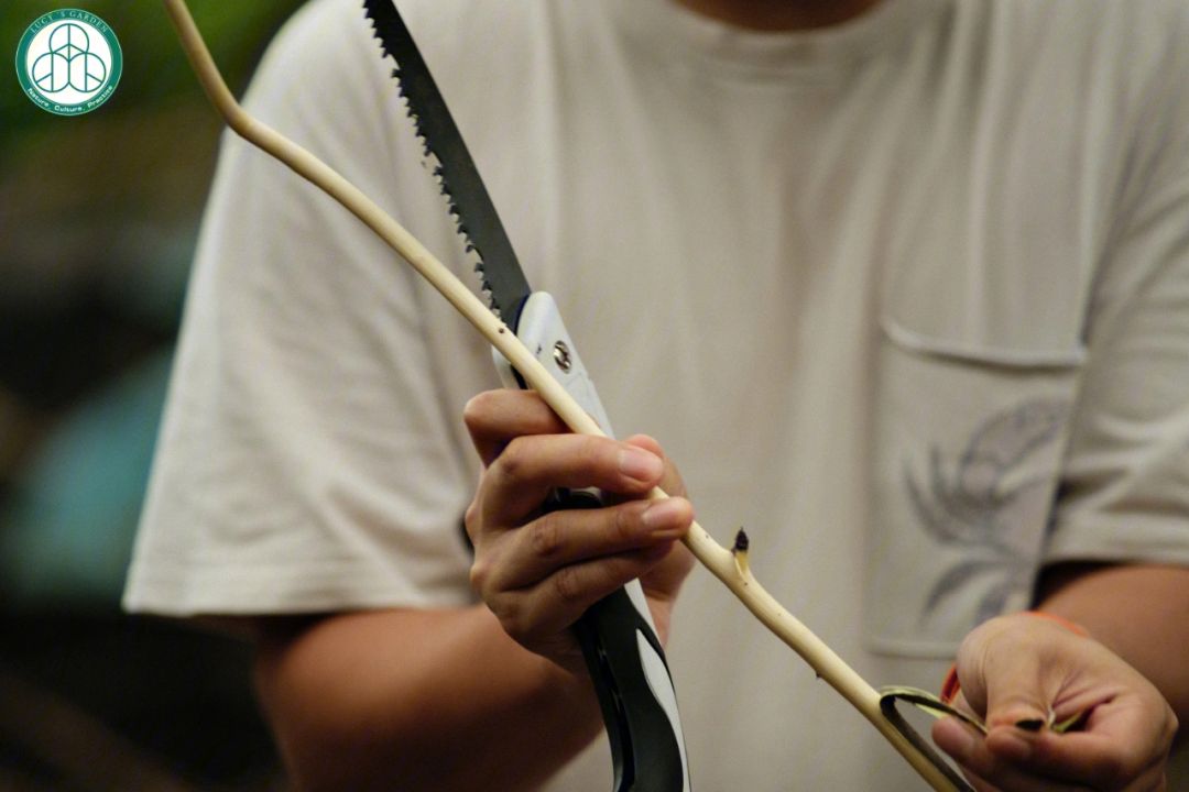 关于佩鲁贾不惧挑战，争取捧杆获得胜利的信息