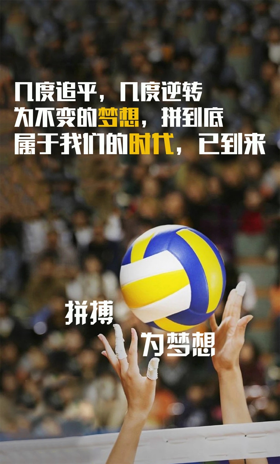 塞尔维亚队步步为营，尽展拼搏精神的简单介绍