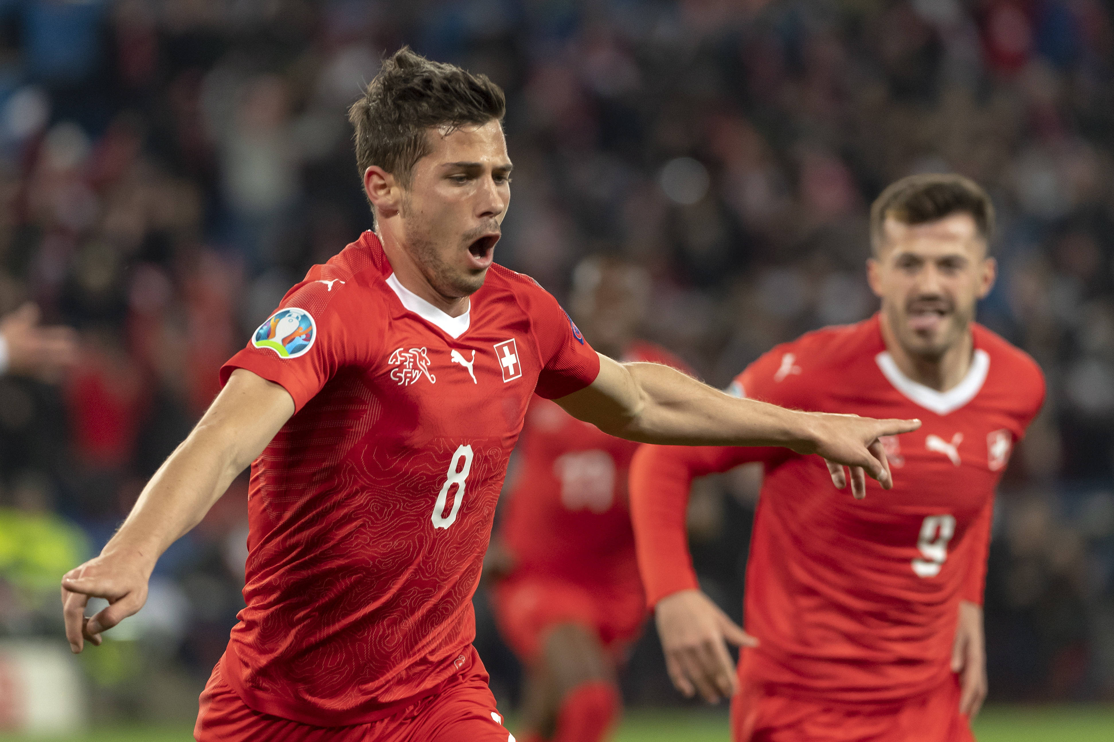 包含荷兰队与奥地利队硬仗相逢，角逐胜负的词条