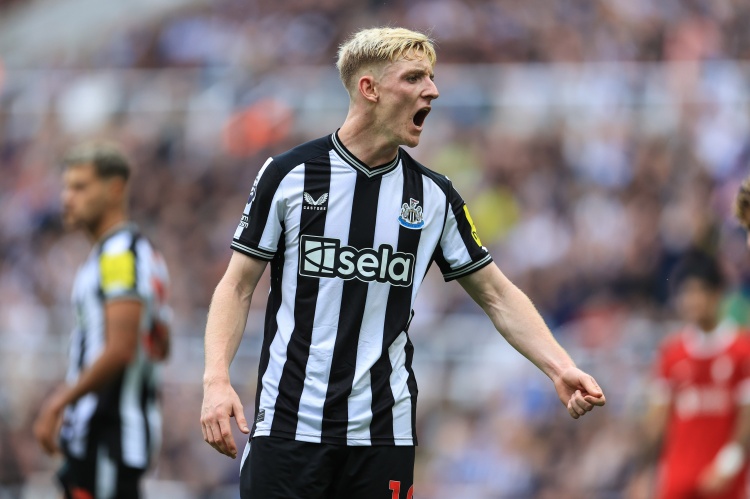 包含纽伦堡主场一球小胜凯泽斯劳滕，助力保级的词条