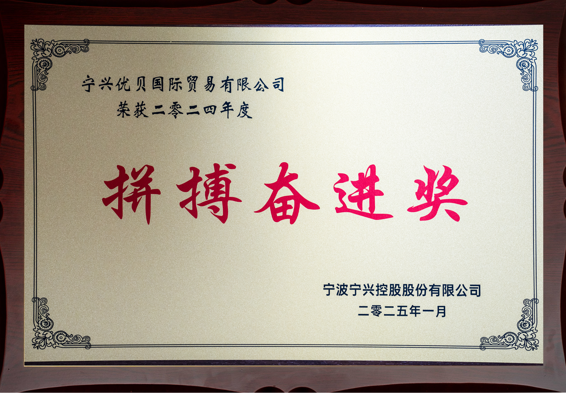 代表团奋力拼搏，勇夺多枚奖牌