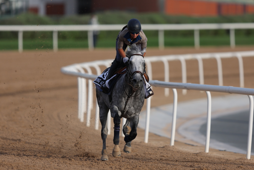 爱游戏在线-阿联酋马术选手表现出色,成功夺得金牌