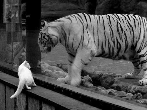 东决关键战焦点战,里昂强势打穿埃及,晋级之路豁然开朗