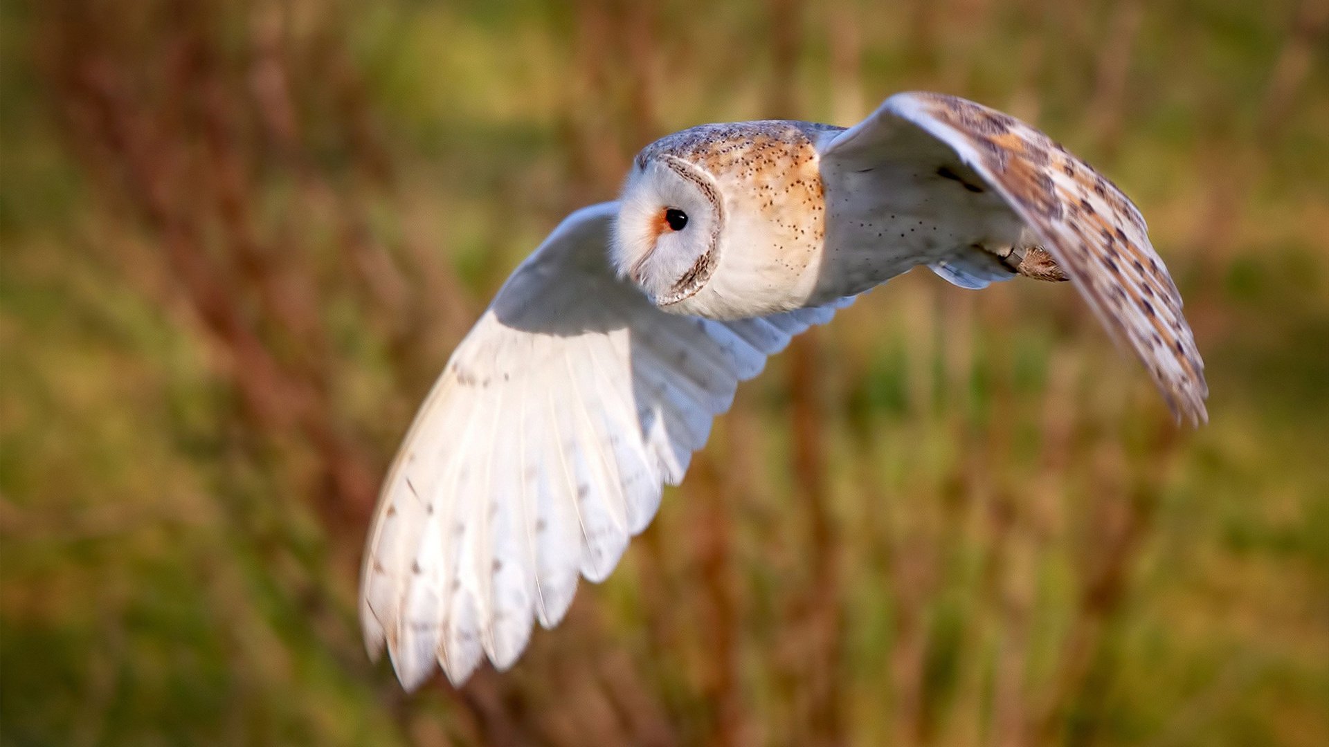 爱游戏大厅-骑士窒息防守埋葬火箭，保罗单骑射穿休斯顿防线