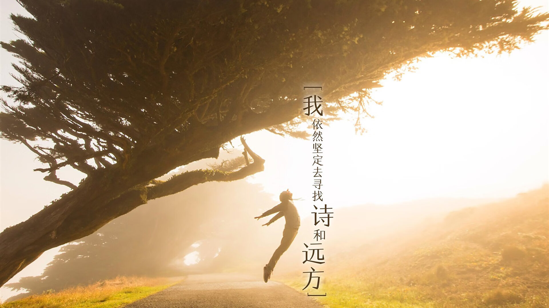 爱游戏APP-体育双雄，哥伦比亚足球碾压加纳，罗德里戈F1开幕战称霸