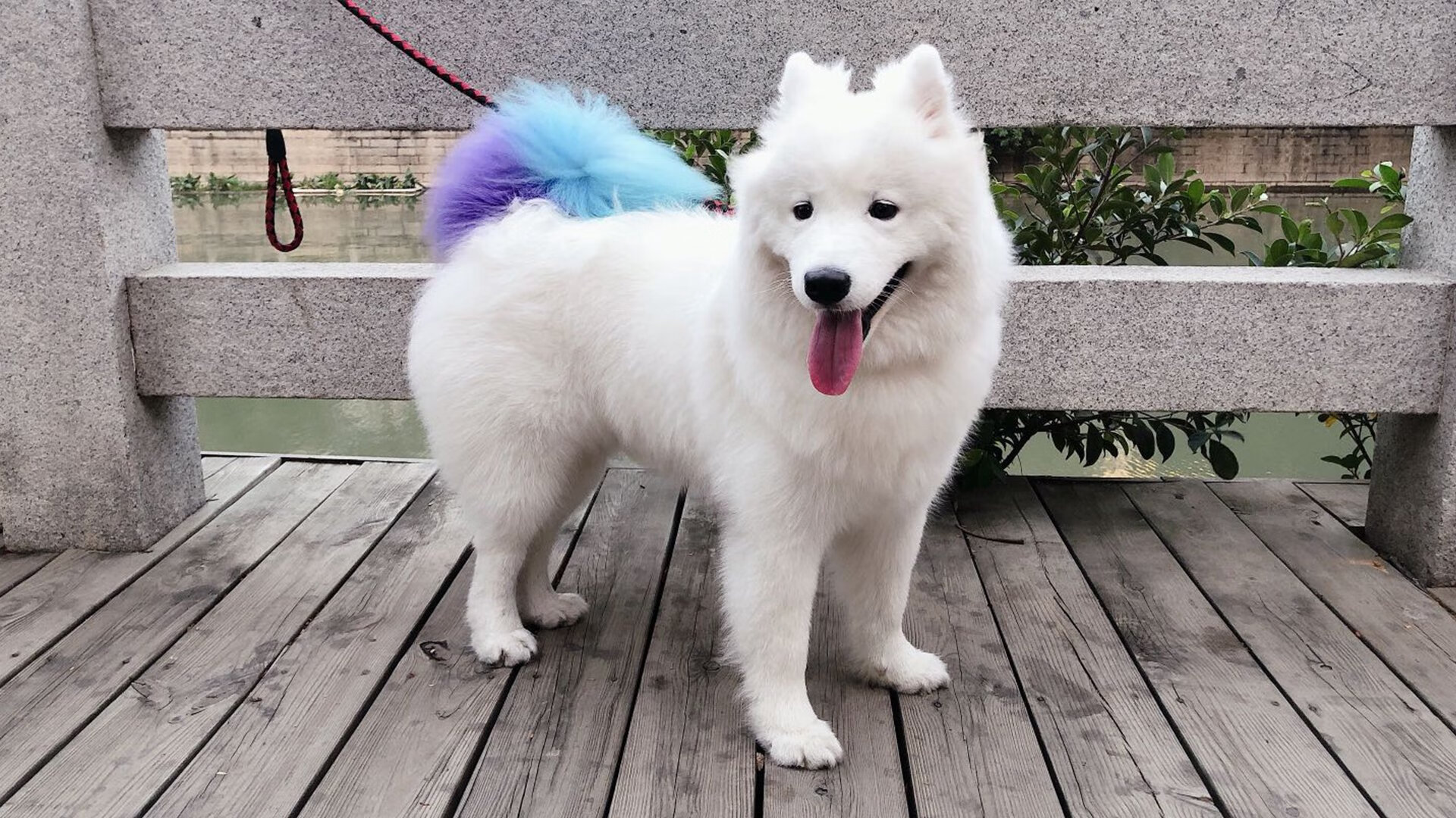 勇士三分暴雨淹没灰熊，西部排名争夺战再掀波澜