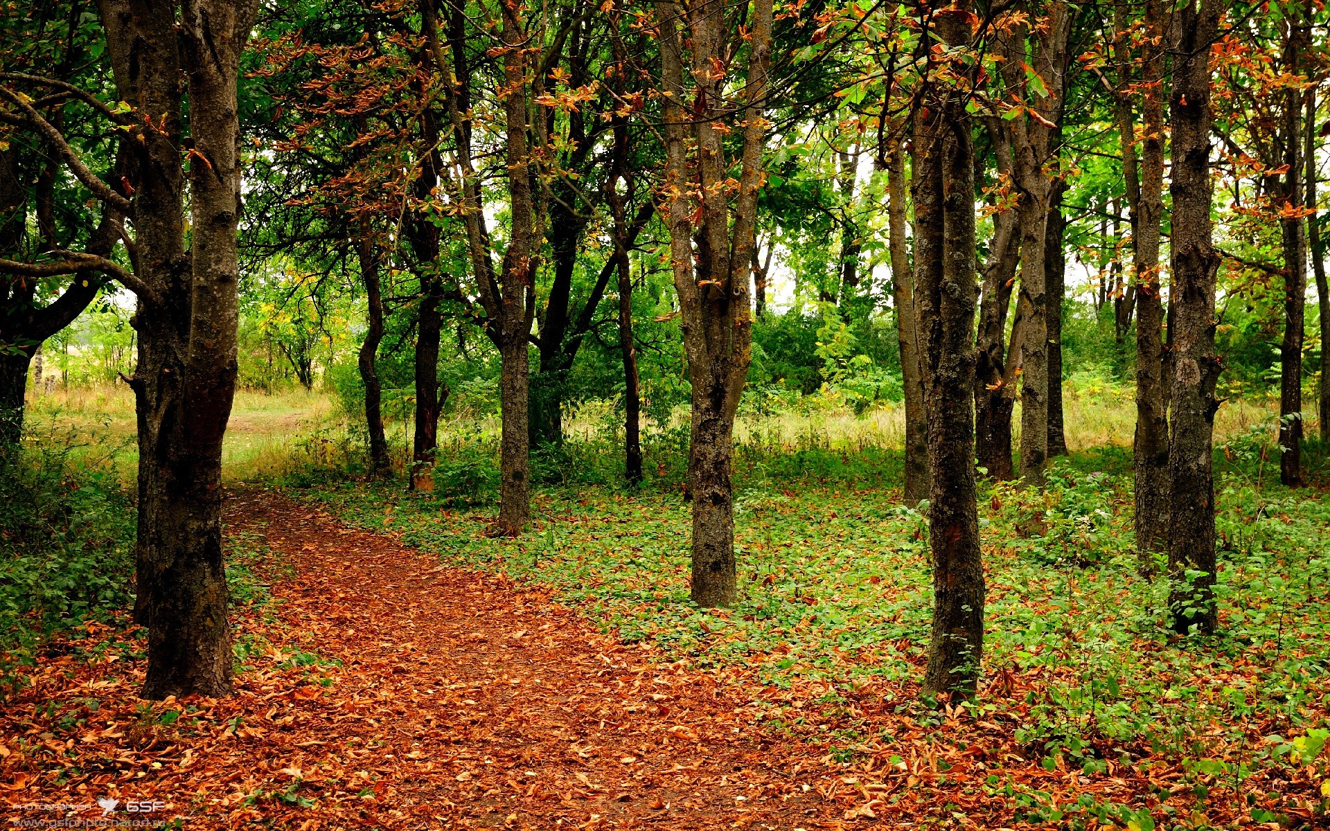 爱游戏官方-乌克兰突围关键战！美加墨世界杯焦点战再现比利亚雷亚尔式奇迹